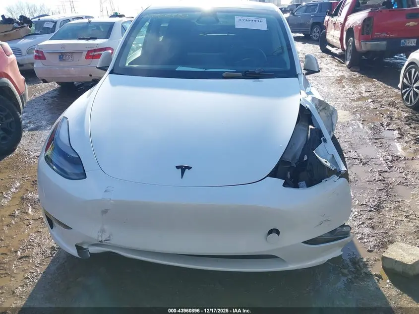 2024 TESLA MODEL Y RWD