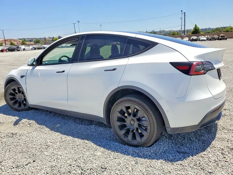 2021 TESLA MODEL Y   