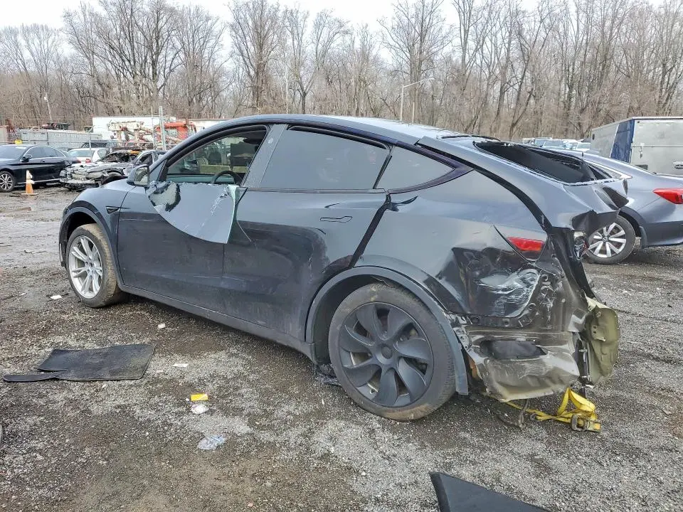 2024 TESLA MODEL Y   
