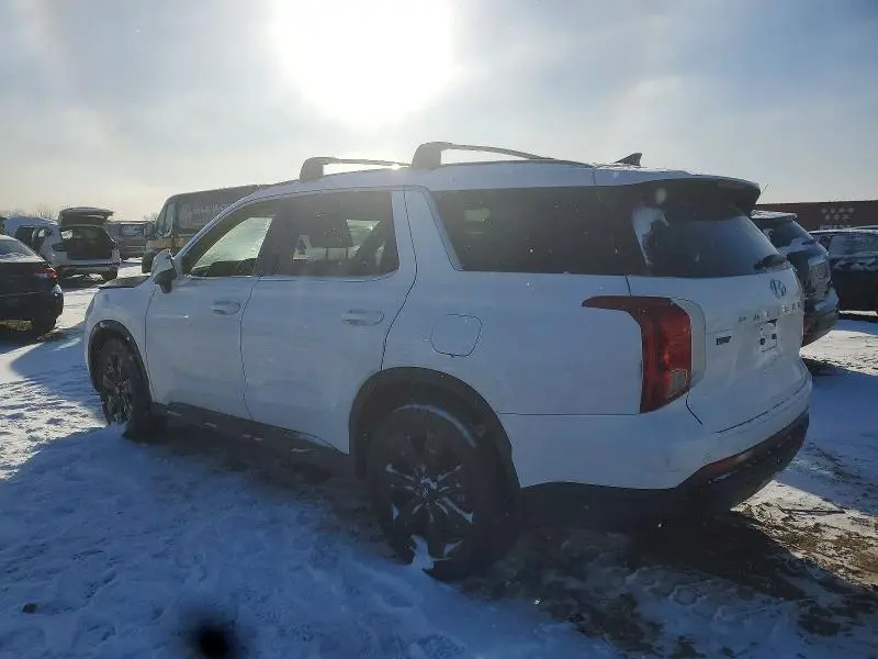 2025 HYUNDAI PALISADE XRT  