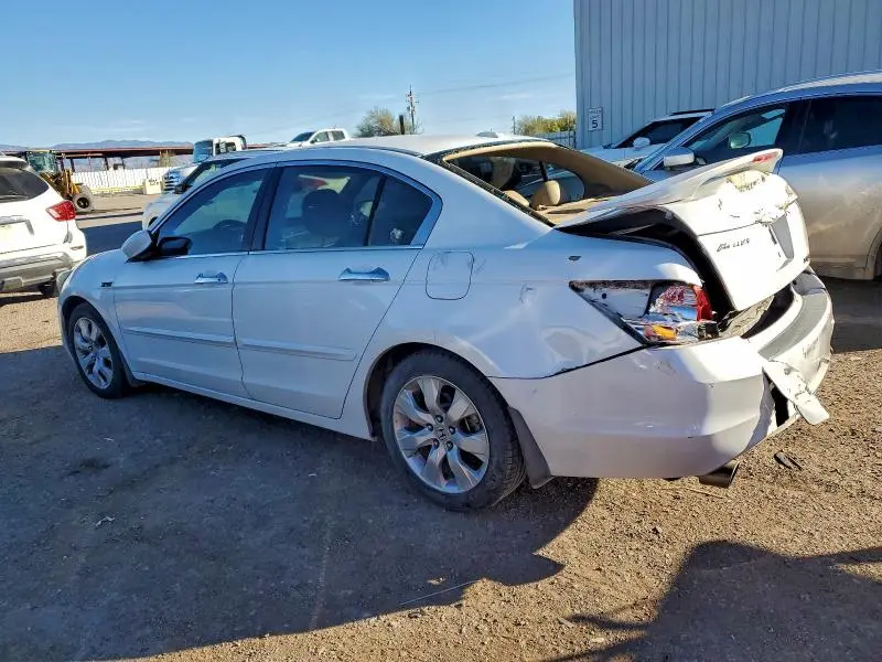 2010 HONDA ACCORD EXL  