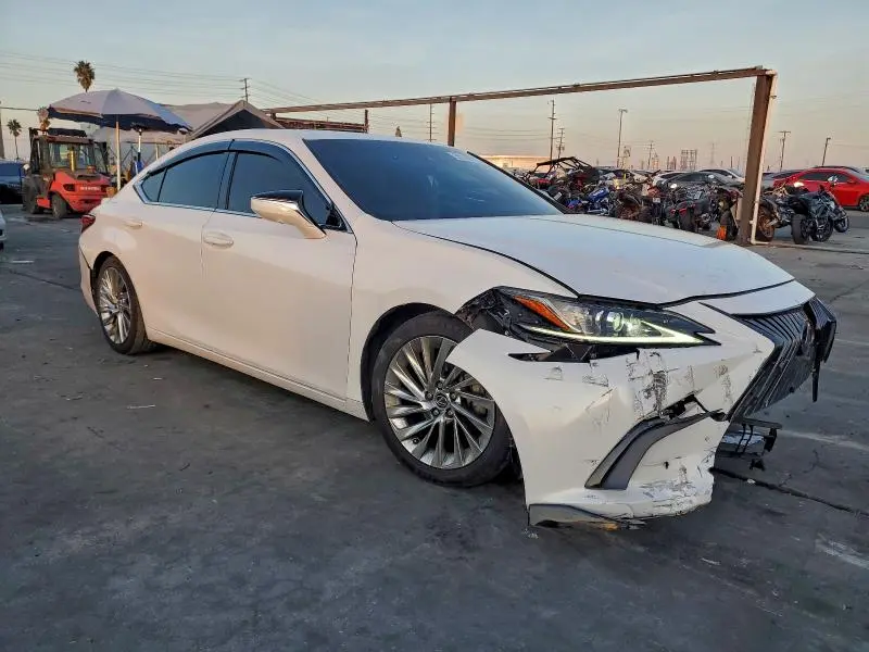2019 LEXUS ES 300H  