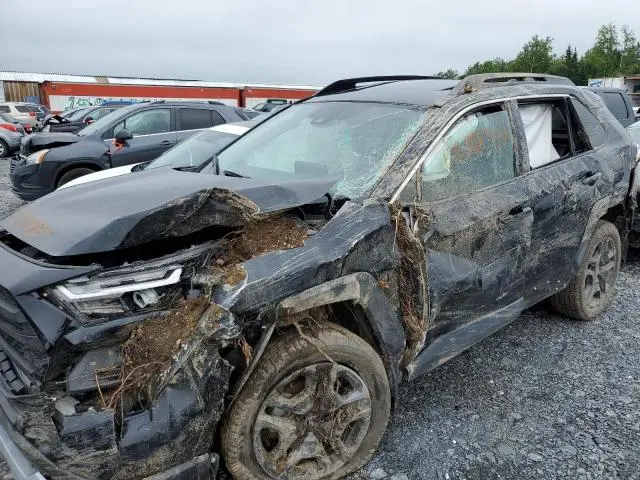 2025 TOYOTA RAV4 ADVENTURE  