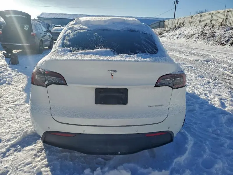 2021 TESLA MODEL Y   