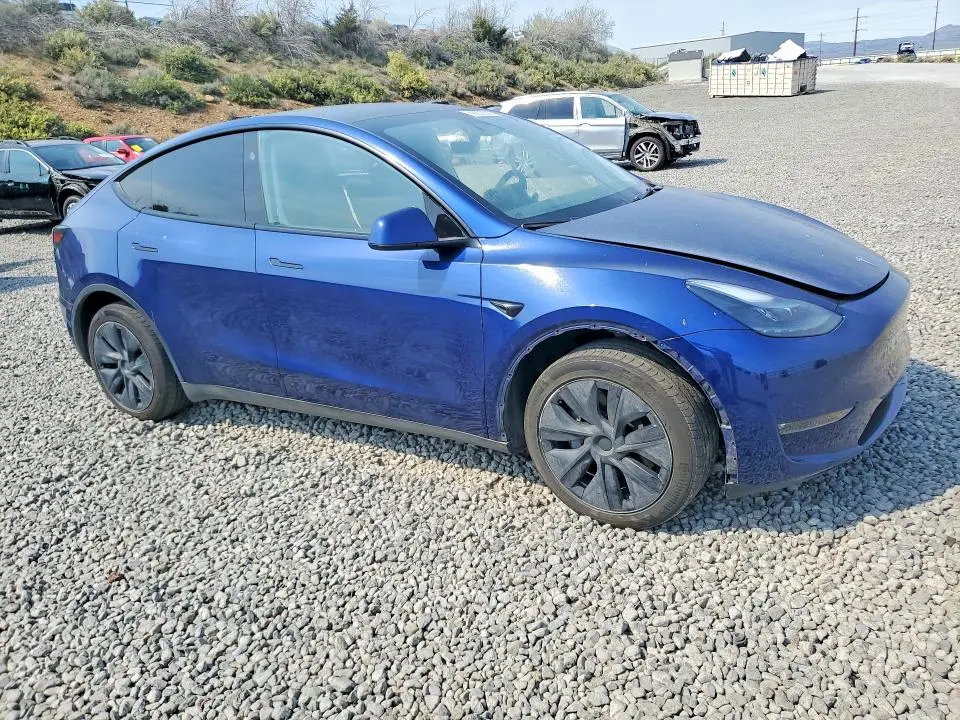 2025 TESLA MODEL Y   