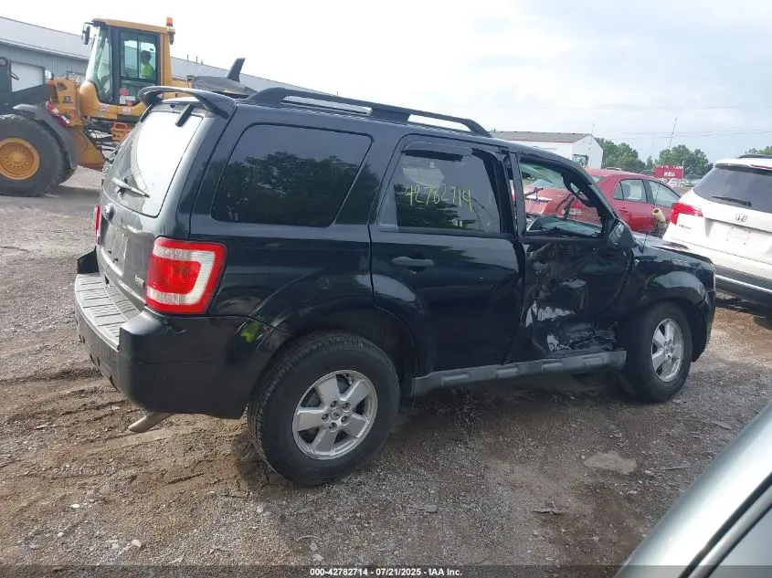 2010 FORD ESCAPE XLT