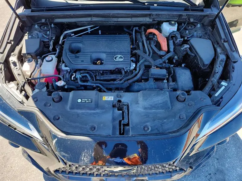 2024 LEXUS NX 350H BASE  