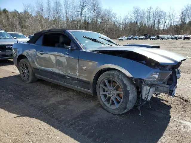 2014 FORD MUSTANG   