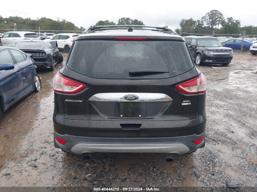 2013 FORD ESCAPE SEL