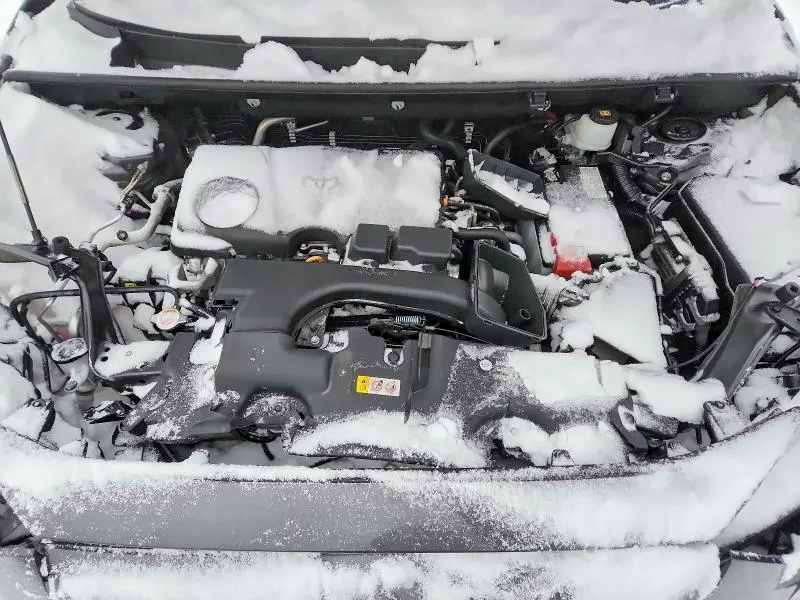 2023 TOYOTA RAV4 XLE  