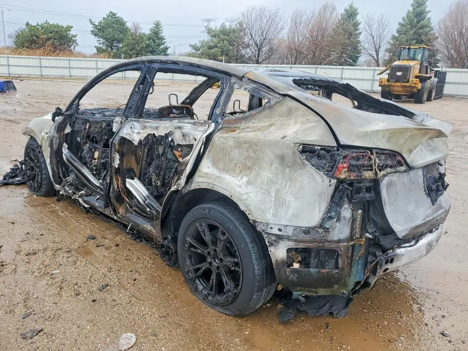 2024 TESLA MODEL Y   