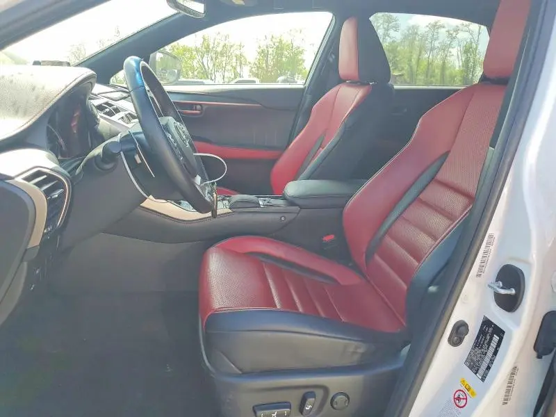 2019 LEXUS NX 300 F SPORT  