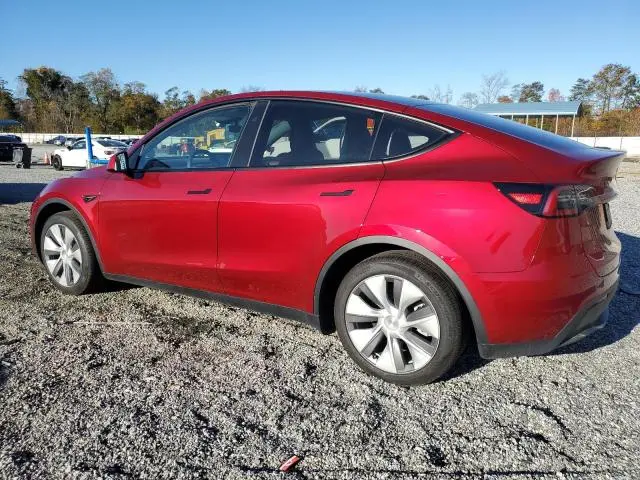 2024 TESLA MODEL Y   