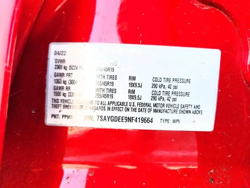 2022 TESLA MODEL Y   