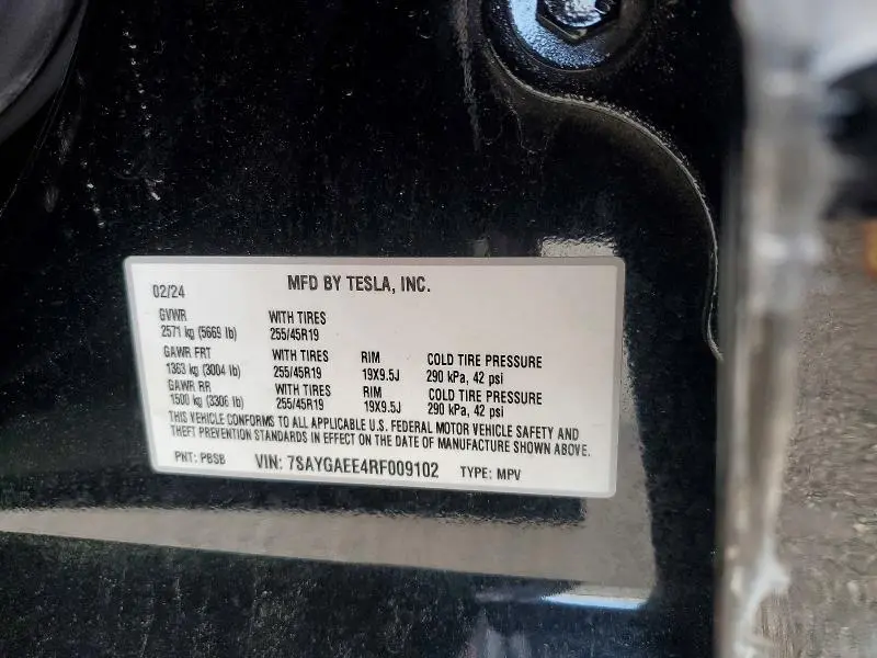 2024 TESLA MODEL Y   