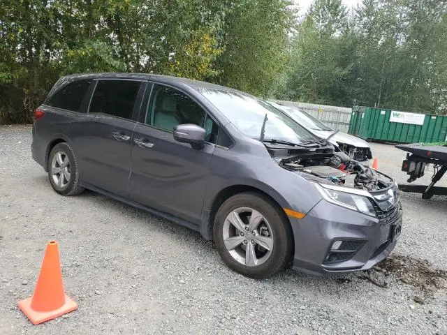 2019 HONDA ODYSSEY EXL  