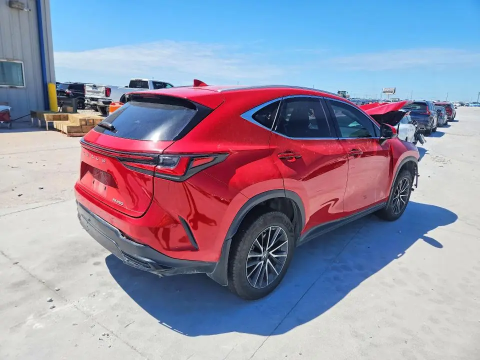 2023 LEXUS NX 250 BASE  