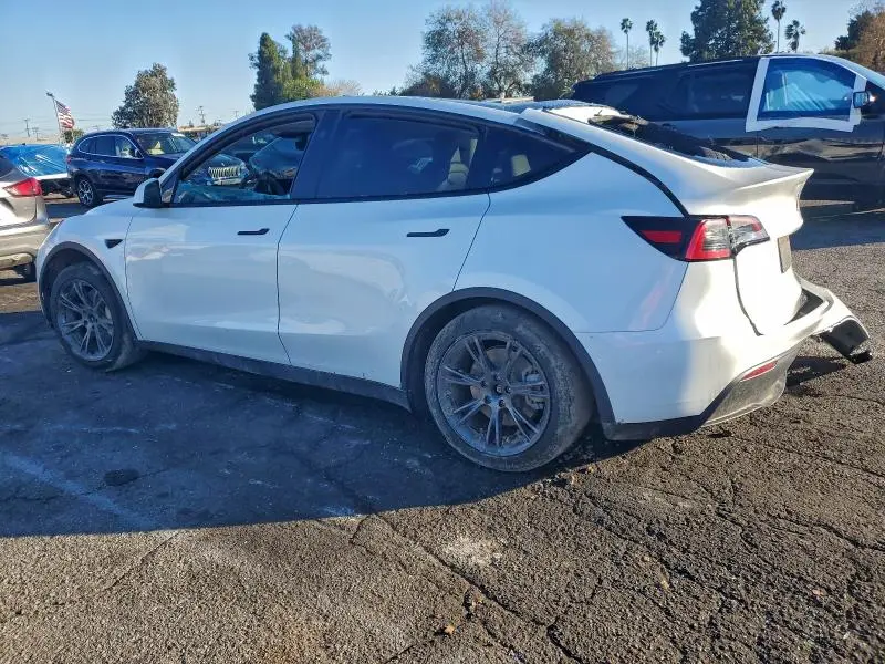 2025 TESLA MODEL Y   