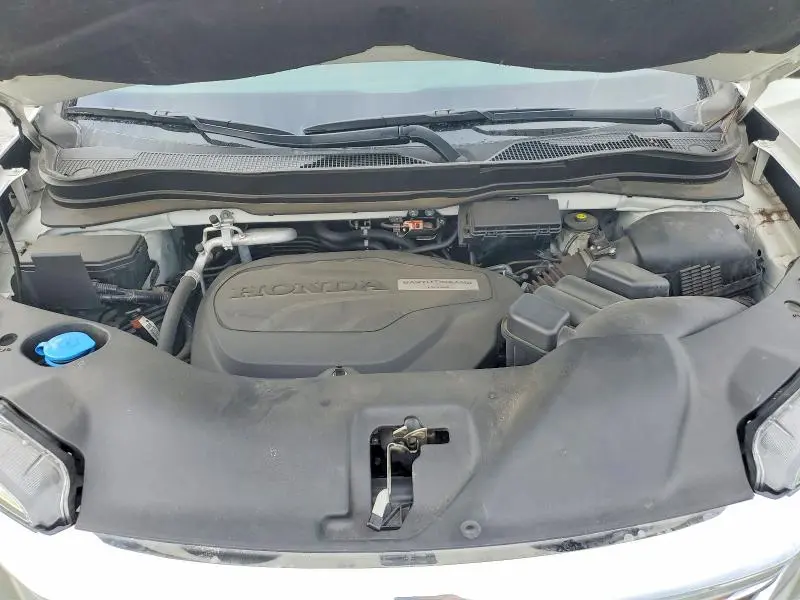 2019 HONDA PILOT EXL  