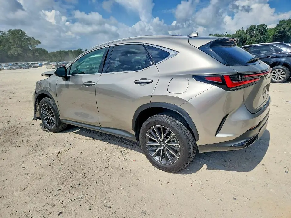 2024 LEXUS NX 250 BASE  