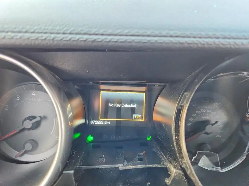 2019 FORD MUSTANG   