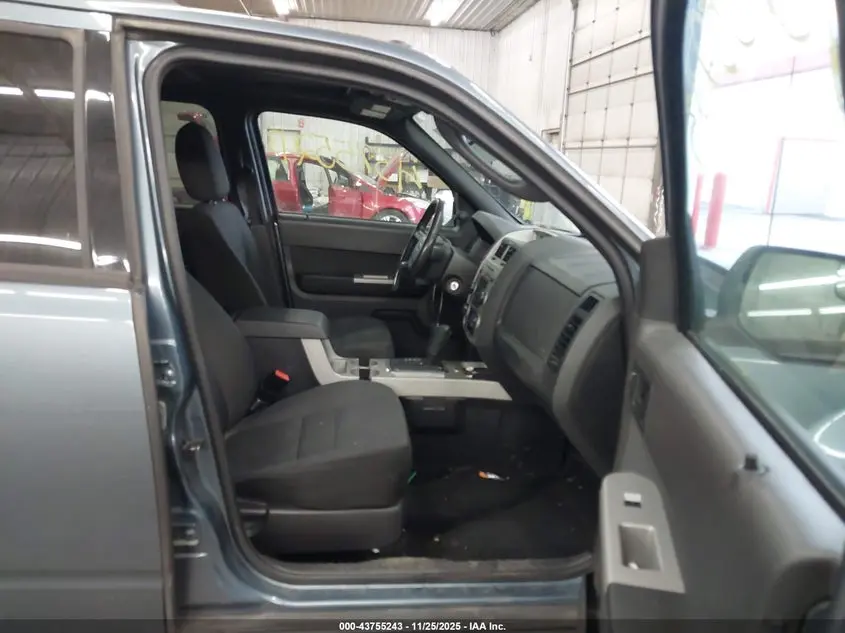 2011 FORD ESCAPE XLT