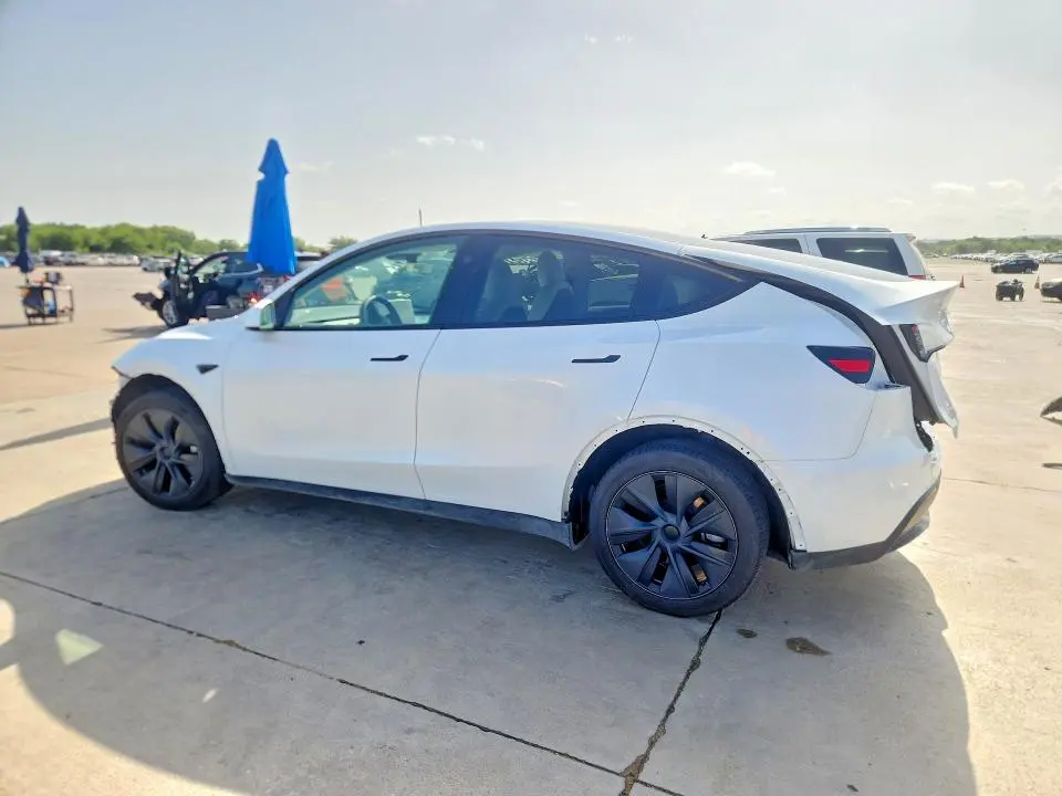 2025 TESLA MODEL Y   