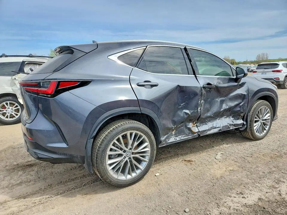 2026 LEXUS NX 350   