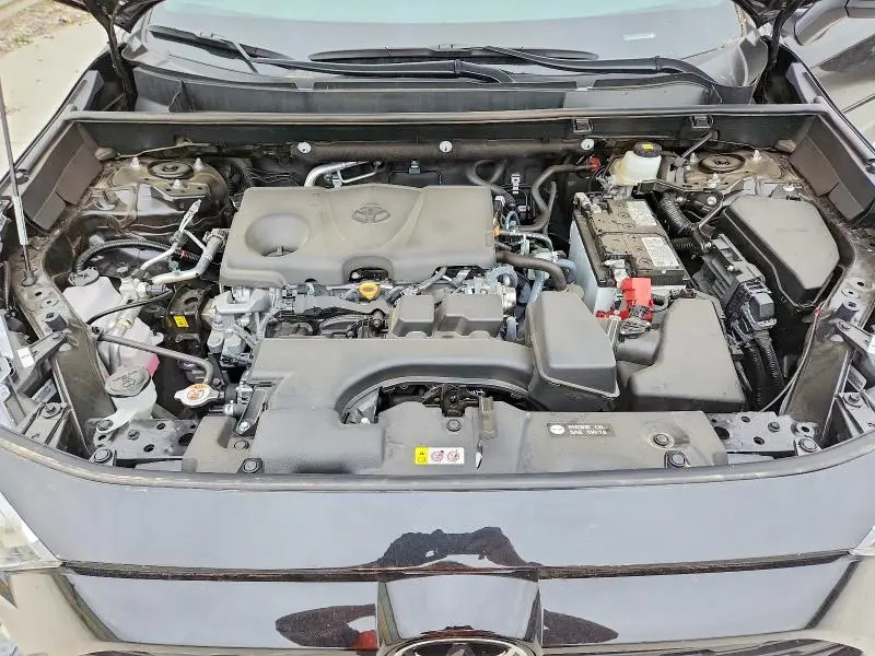 2025 TOYOTA RAV4   