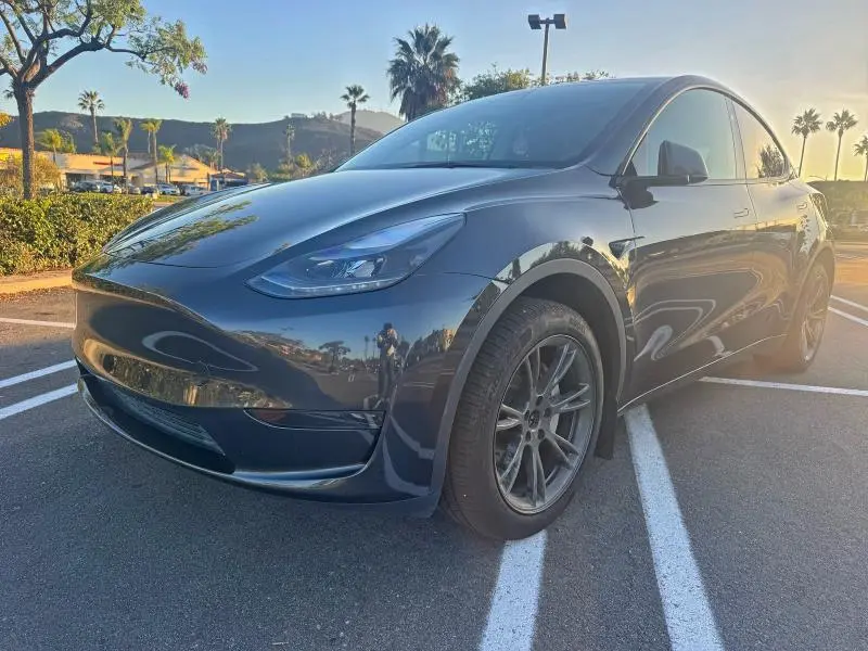 2025 TESLA MODEL Y   