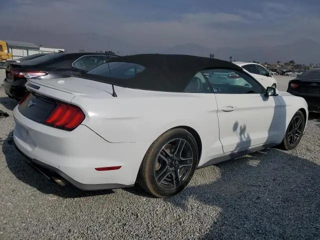 2019 FORD MUSTANG   