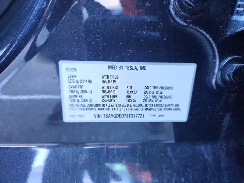 2025 TESLA MODEL Y   