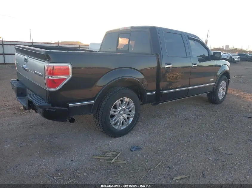 2013 FORD F-150 PLATINUM