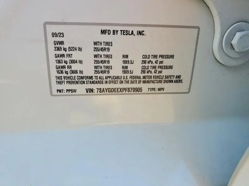2023 TESLA MODEL Y   