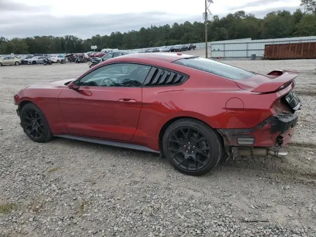 2019 FORD MUSTANG