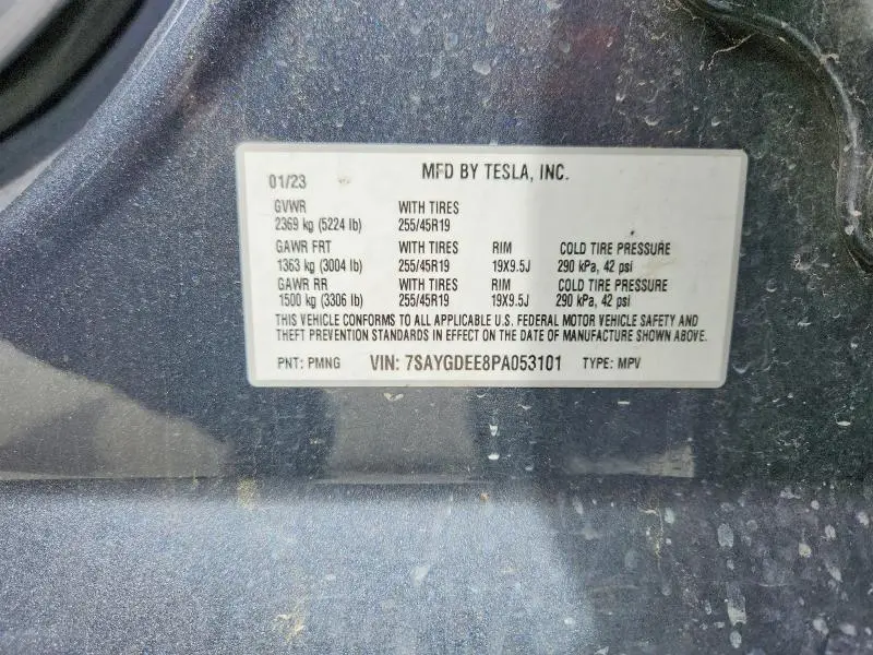 2023 TESLA MODEL Y   