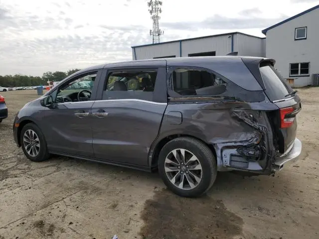 2024 HONDA ODYSSEY EXL  