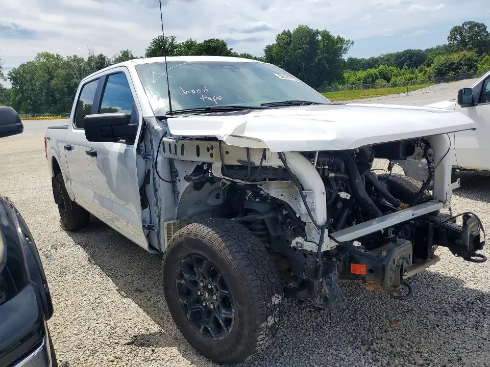 2025 FORD F150 STX  