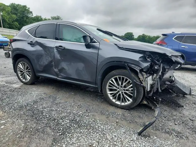 2022 LEXUS NX 350H  