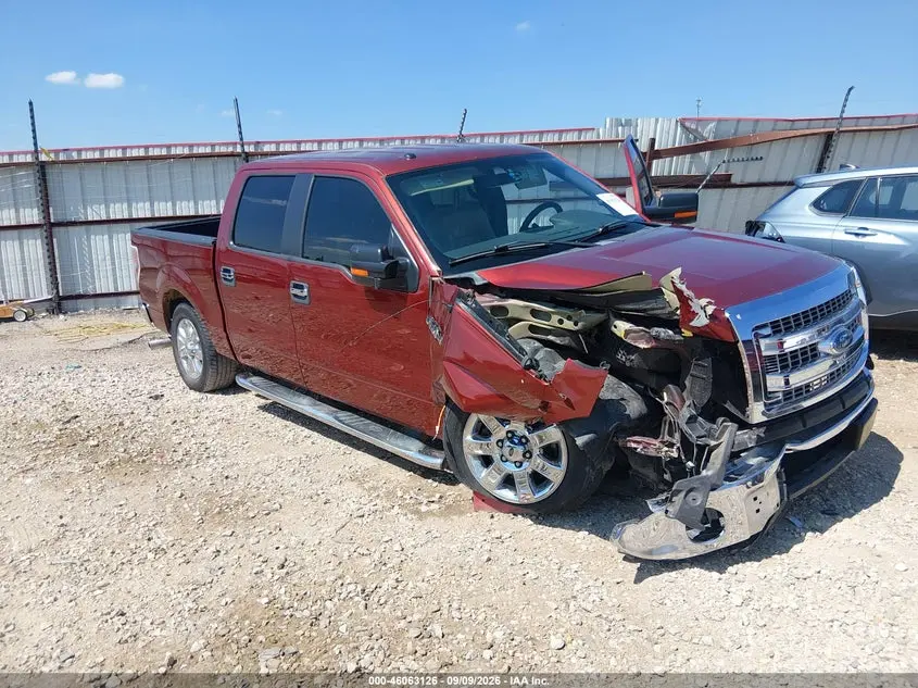 2014 FORD F-150 XLT