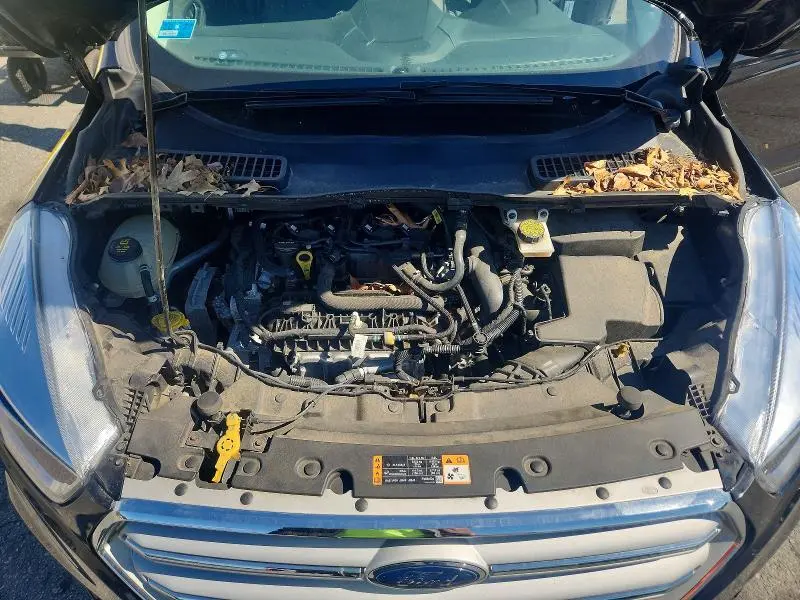 2019 FORD ESCAPE SE  