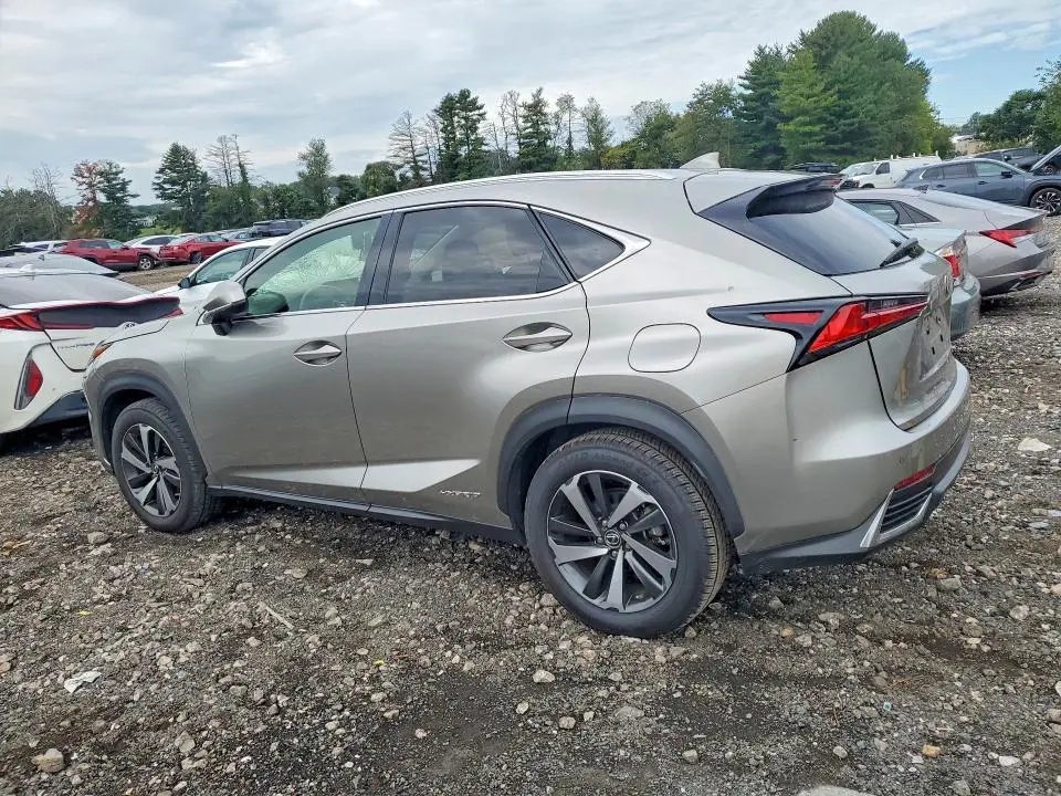 2020 LEXUS NX 300H  
