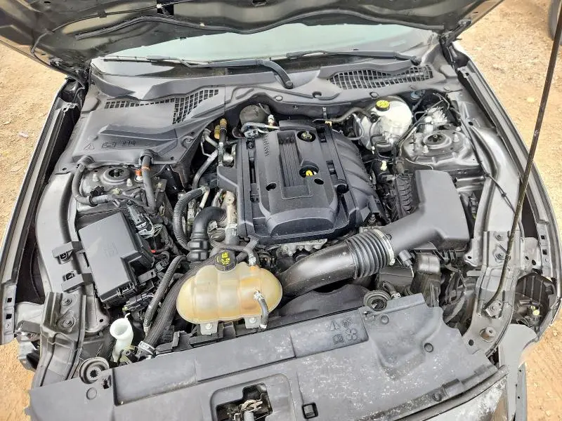 2019 FORD MUSTANG   
