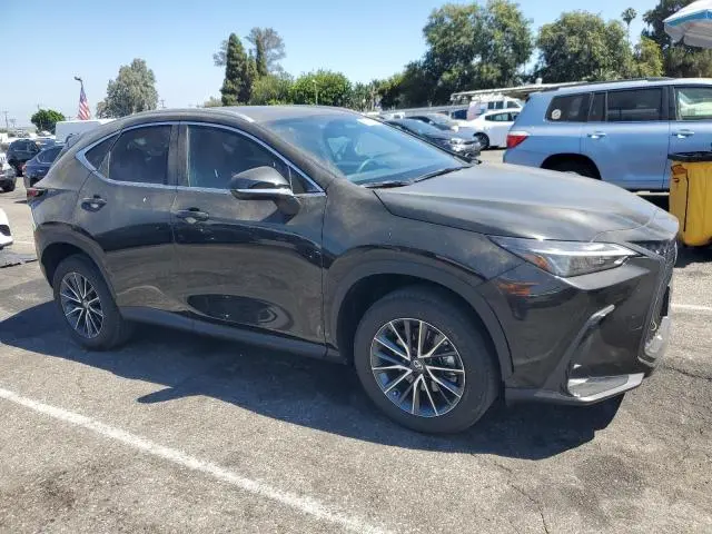 2024 LEXUS NX 350 BASE  
