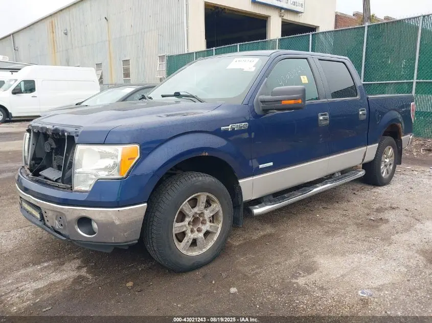 2011 FORD F-150 XLT