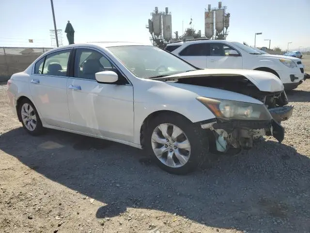 2010 HONDA ACCORD EXL  