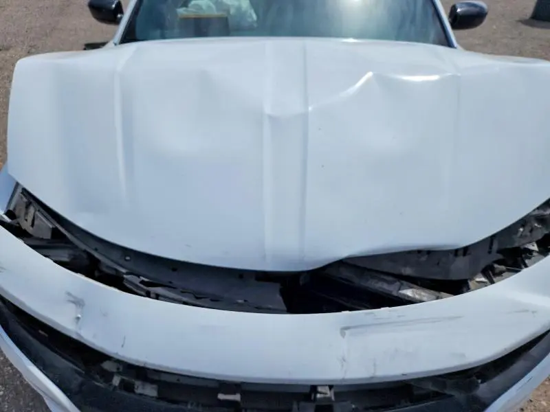 2018 DODGE CHARGER R/T  
