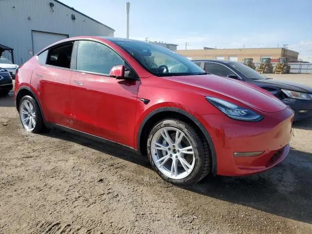 2022 TESLA MODEL Y   