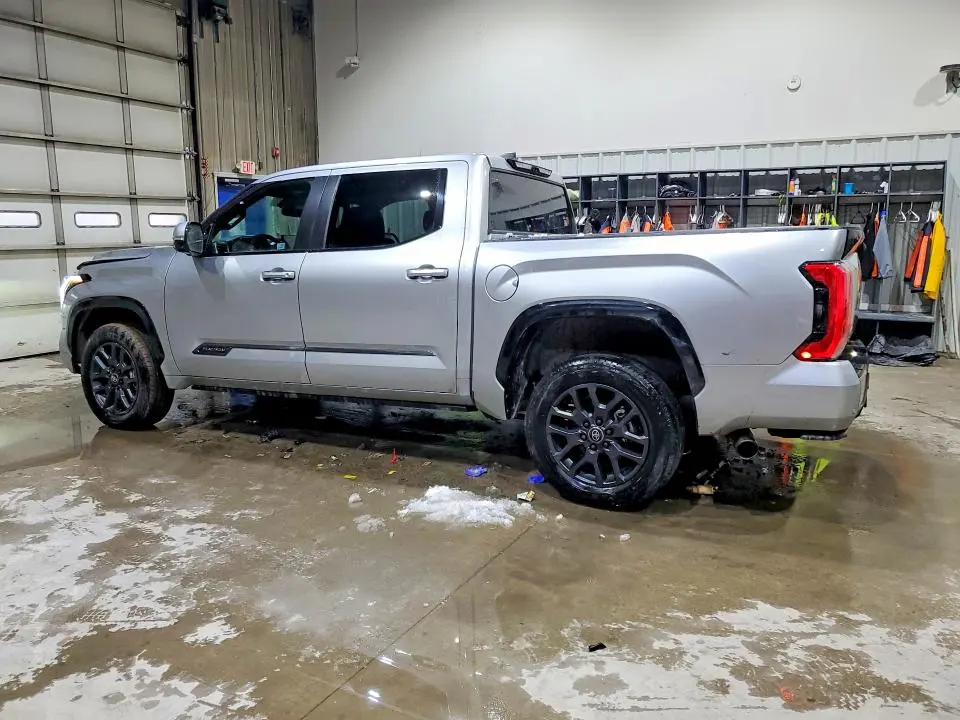 2025 TOYOTA TUNDRA PLATINUM  