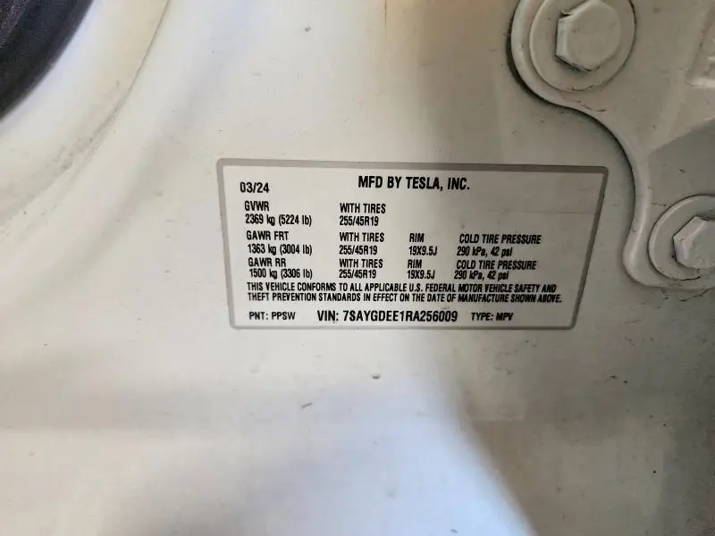 2024 TESLA MODEL Y   
